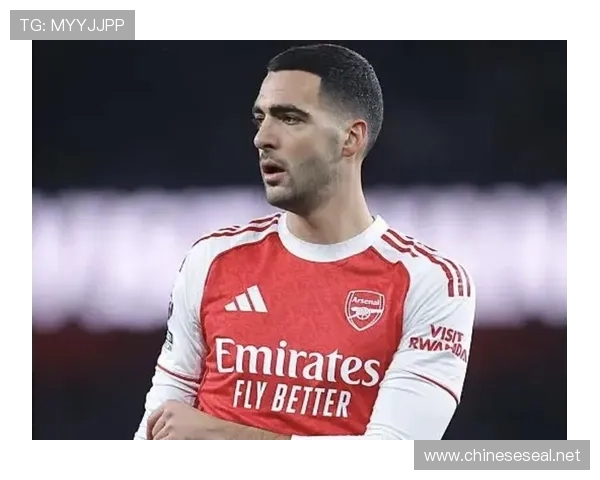 梅里诺父亲称儿子恢复期无先例 梅里诺父亲称儿子恢复期无先例